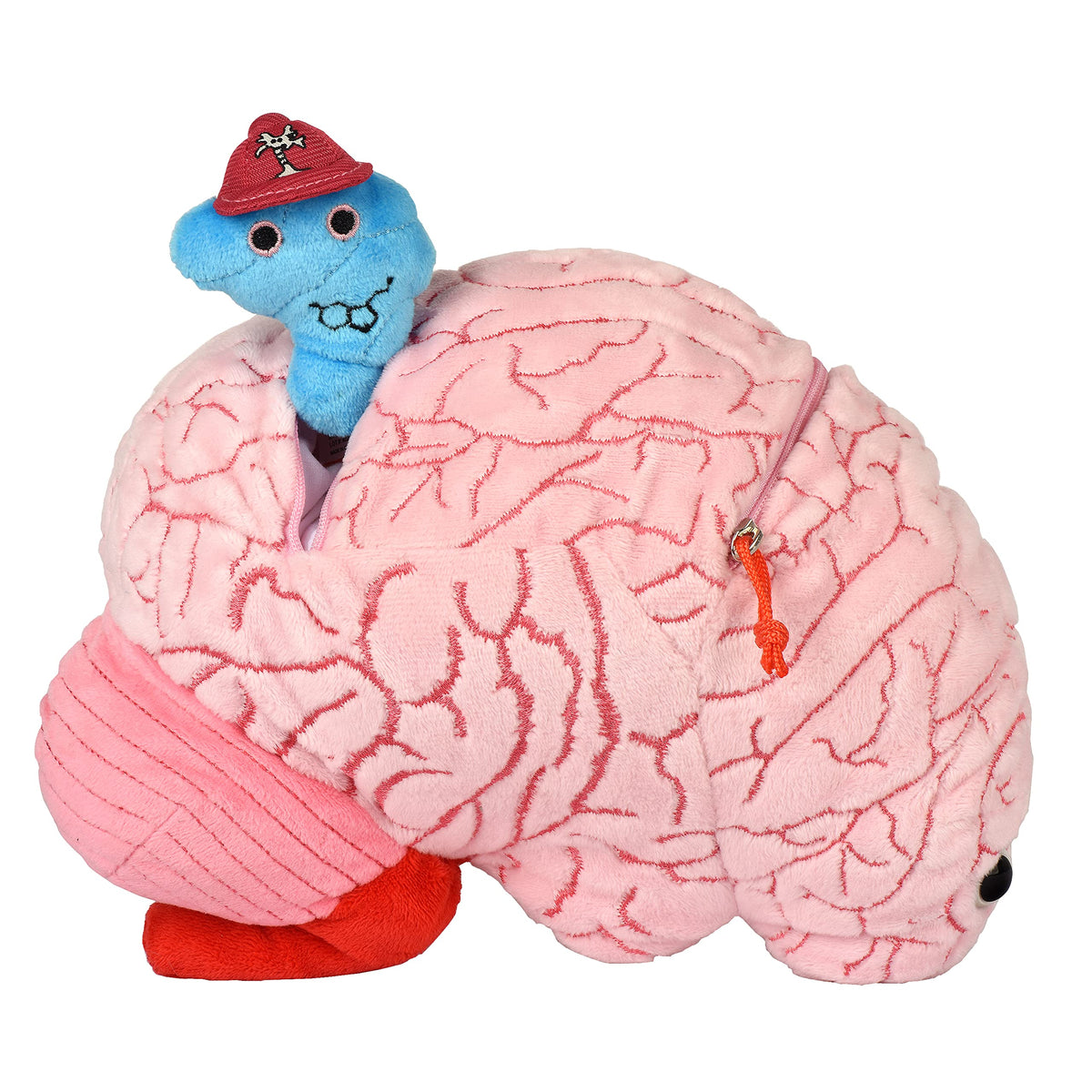 GIANTMICROBES Deluxe brain plush suitable for therapy rooms and recovery spaces