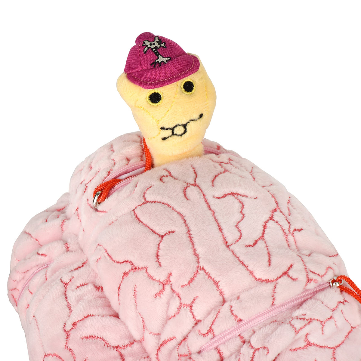 GIANTMICROBES Deluxe brain plush ideal for medical student gifts