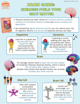 GIANTMICROBES Deluxe brain with zippered pockets, a hands-on learning aid
