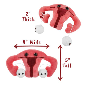 GIANT MICROBES Uterus Plush made from soft, safe materials for cuddling.