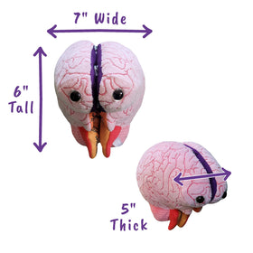 GIANTMICROBES Brain Model colorful artwork aids visual learning and quick reference