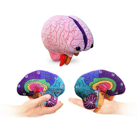 GIANTMICROBES Brain Model front view shows essential brain parts for classroom learning