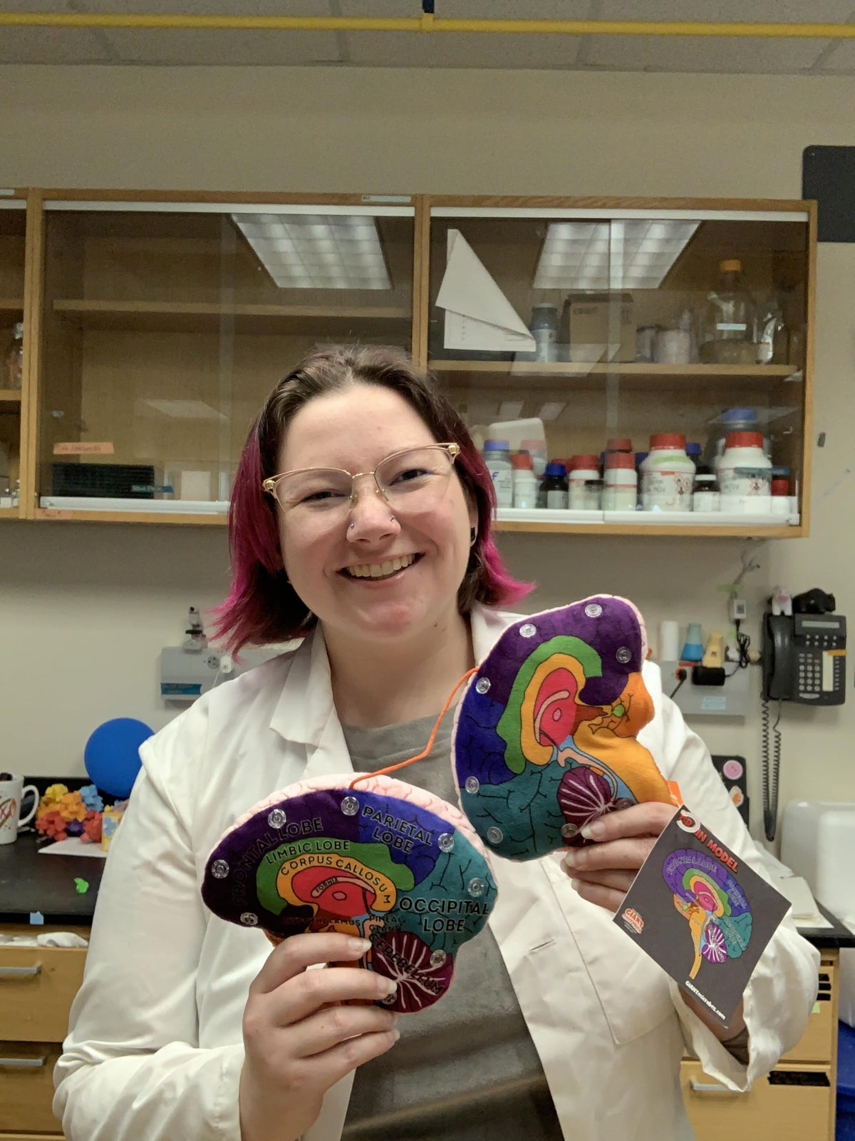 GIANTMICROBES Brain Model huggable plush offers comforting brain-themed companionship