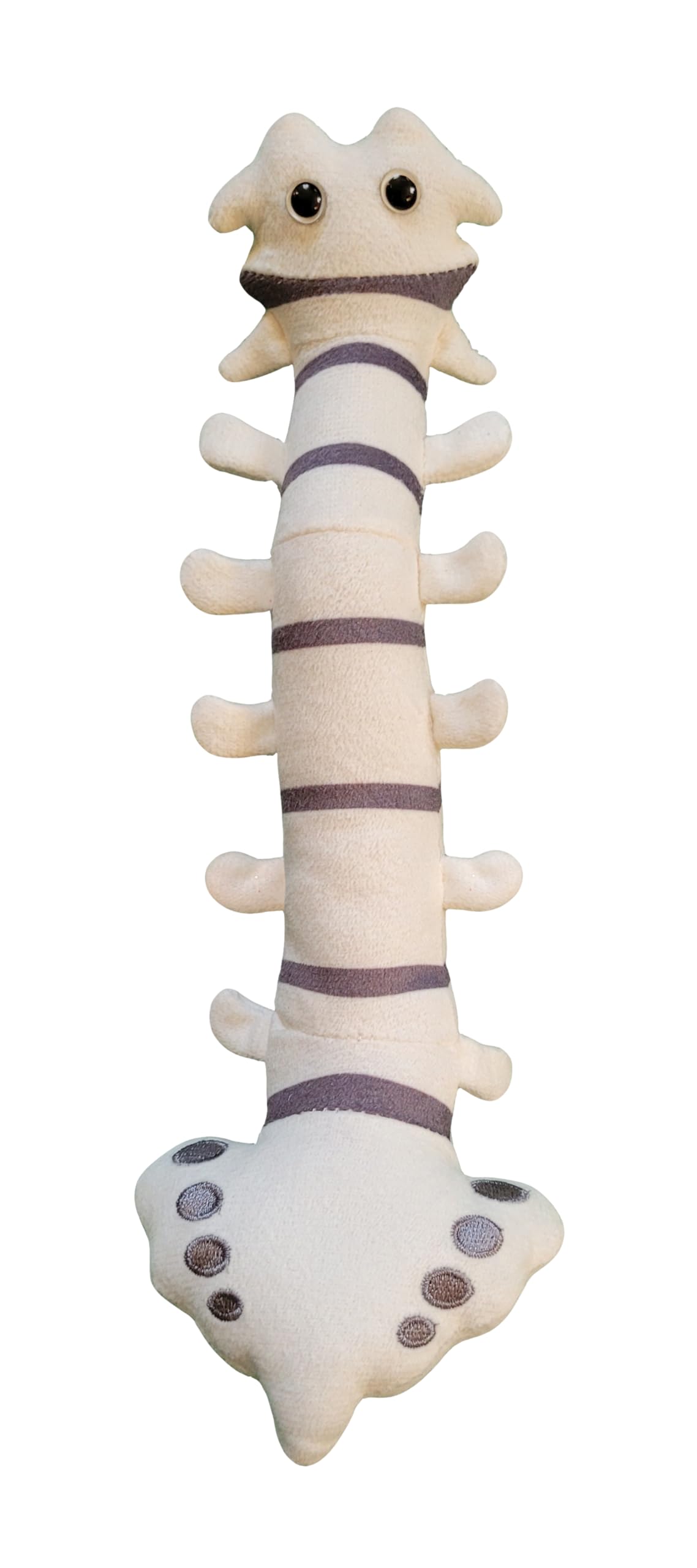 GIANTMICROBES Spine Plush close-up of vertebrae embroidery for tactile anatomy learning.