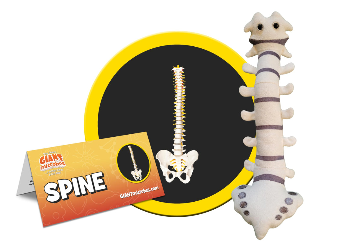 GIANTMICROBES Spine Plush full view showing 10-inch size and soft plush feel.
