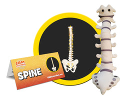 GIANTMICROBES Spine Plush full view showing 10-inch size and soft plush feel.