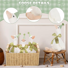 Giftlyze Silly Goose adoption card enhances party keepsakes and memories