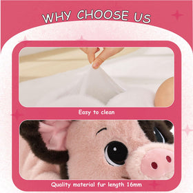 GILFWM weighted pig in elegant gift box ready to present.