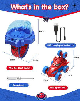 Givzan Spider Toy indoor-outdoor versatility supports varied play spaces.