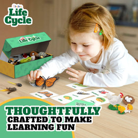 GLINGLONG Life Cycle Animal Kit bee figure aids visual sequencing activities.