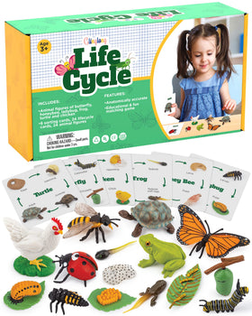 GLINGLONG Life Cycle Animal Kit chicken figure for hands-on life cycle learning.