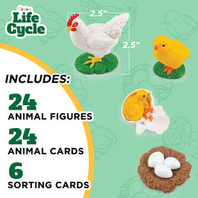 GLINGLONG Life Cycle Animal Kit frog figure supports early science exploration.