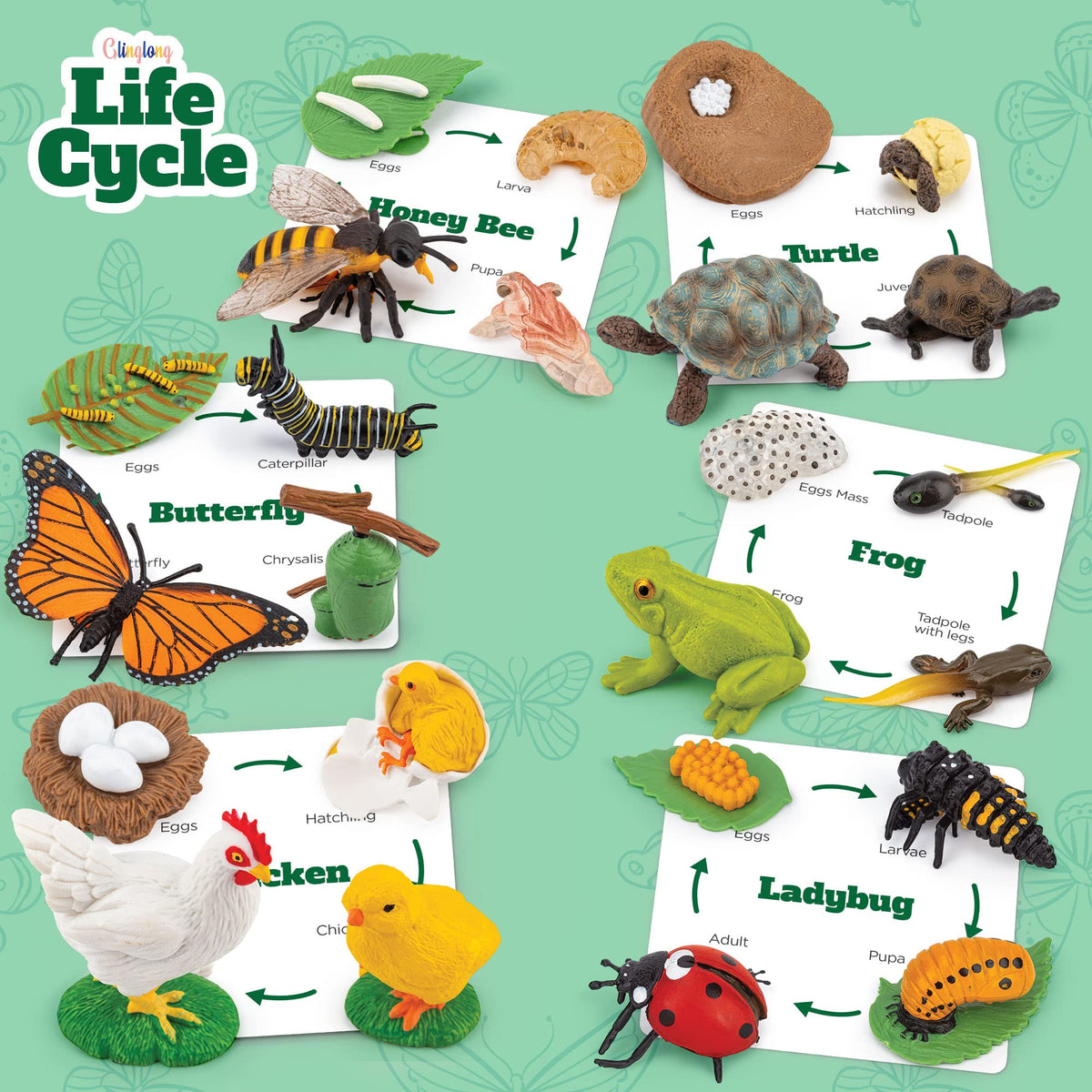 GLINGLONG Life Cycle Animal Kit ladybug figure encourages pattern recognition.