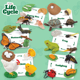 GLINGLONG Life Cycle Animal Kit ladybug figure encourages pattern recognition.
