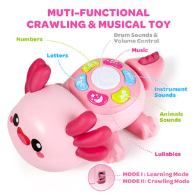 GMAOPHY axolotl toy features six animal sounds for curiosity.