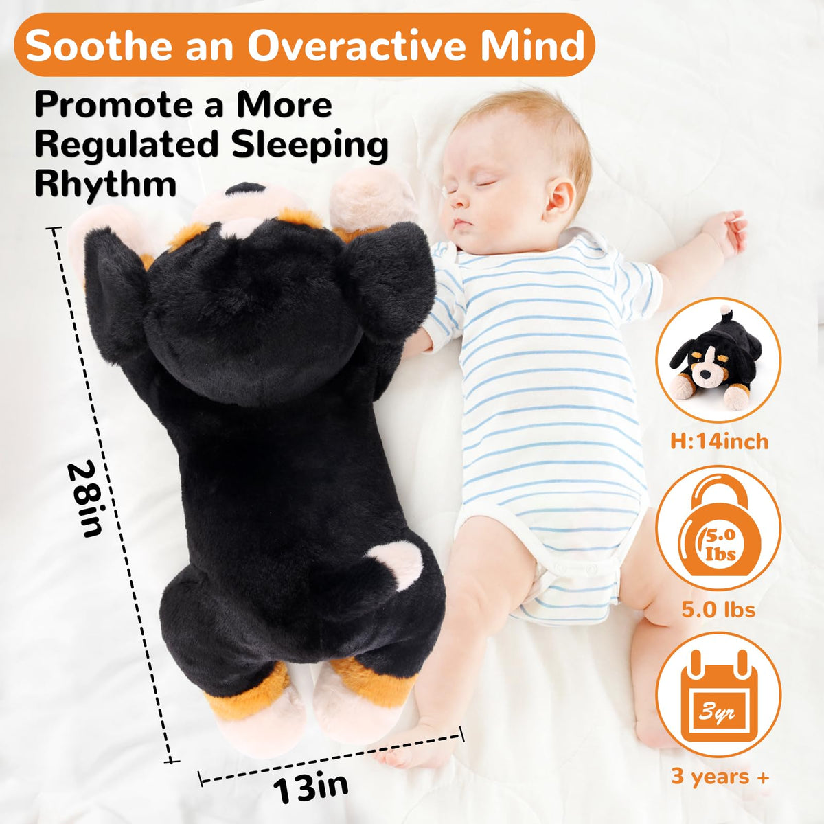 Gnomantic Bernese weighted plush suitable for kids and adults alike