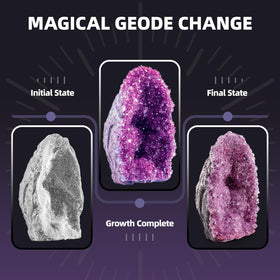 Close-up of GobiDex geode crystals forming within a day.
