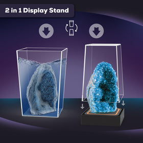 Dissolution tool doubles as a display stand for art.