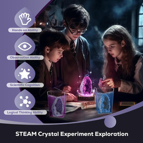 Gift-ready packaging emphasizes STEM learning with safe materials.