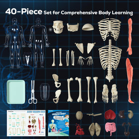 GobiDex illustrated science manual provides colorful, interactive bone and organ insights.