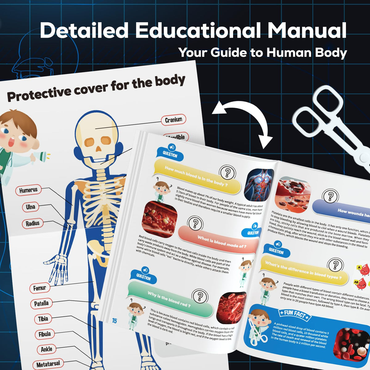 GobiDex safe, durable materials ensure kid-friendly handling and repeated use.