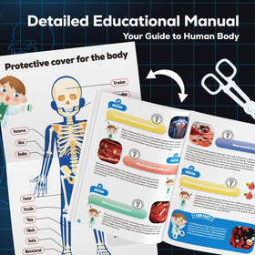 GobiDex safe, durable materials ensure kid-friendly handling and repeated use.