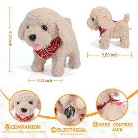 GOBRILLFUN mirror and grooming session image for indoor/outdoor activities.
