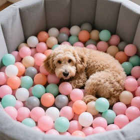 GOGOSO balls party decor adds bright accents to celebrations.