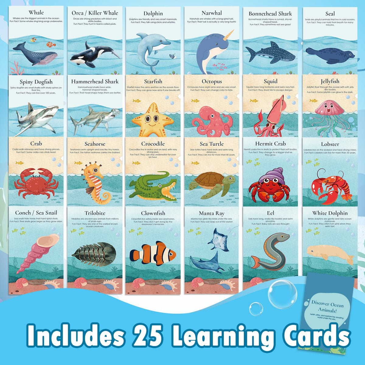 Goldge 3D Whale provides large, durable details for interactive learning.