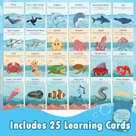 Goldge 3D Whale provides large, durable details for interactive learning.