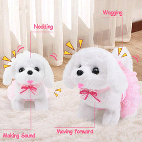 Golray dog toy gift box makes a delightful birthday surprise.