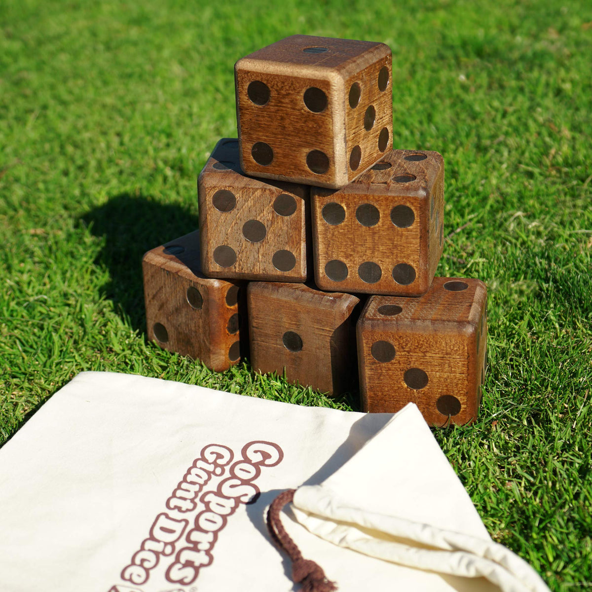 GoSports giant dice storage case keeps six dice organized and ready.