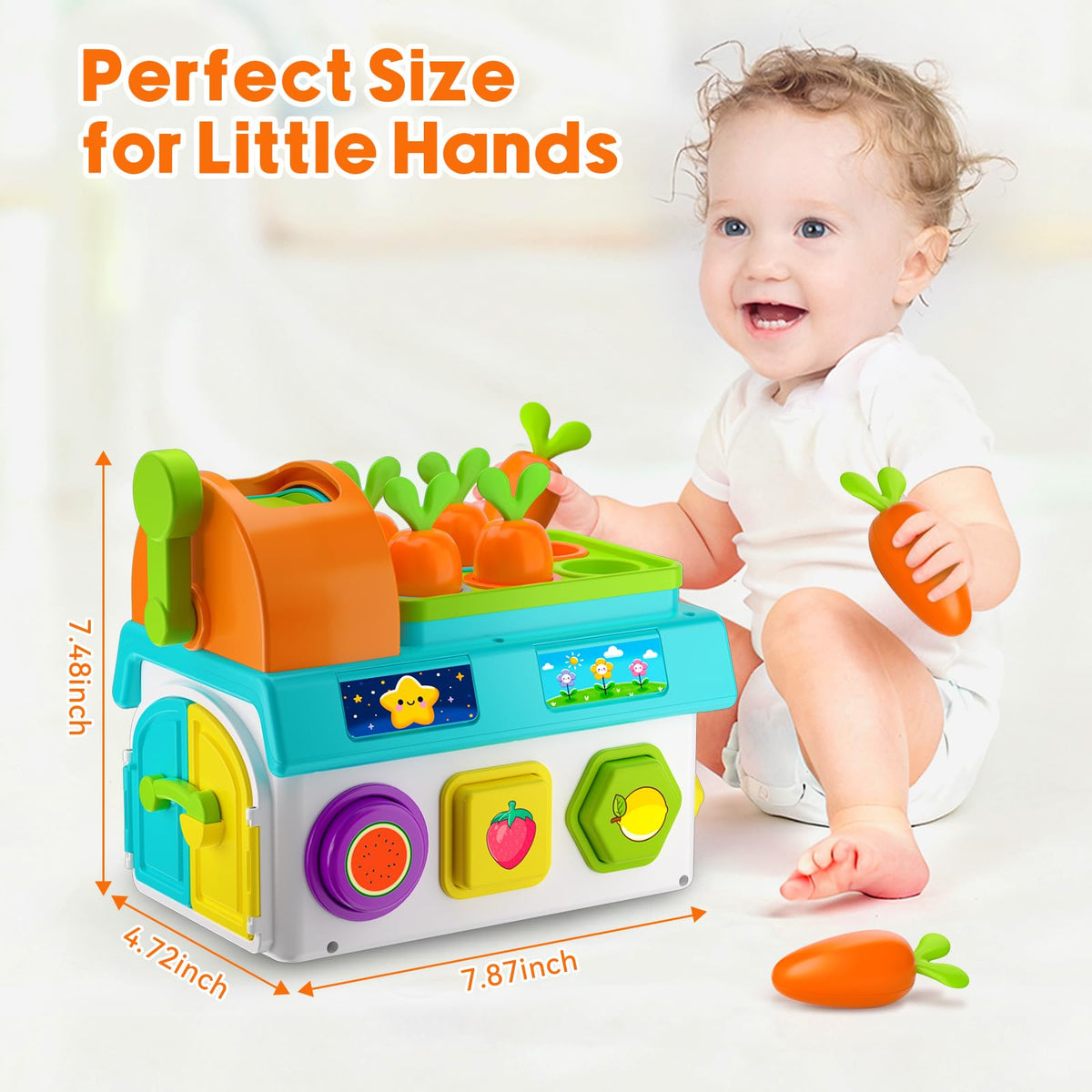 Grasili Musical SortingToys montessori-style multi-activity toy encourages problem-solving and motor practice.