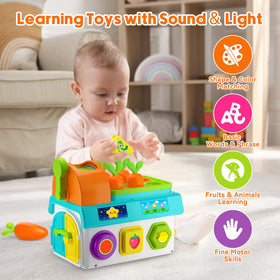 Grasili Musical SortingToys window and door action invites interactive exploration for kids.