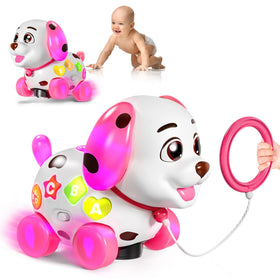 Grasili compact design is travel-friendly for home and car trips.