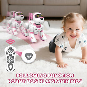 Great Dachong robot dog toy programmable tricks for custom routines
