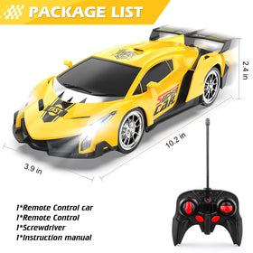 Growsland RC car controller demonstrates simple steering for young players.