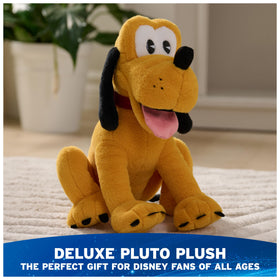 Close-up of Pluto's friendly face detailing.