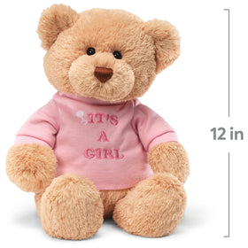 GUND brown plush bear open-armed hug pose for baby celebrations