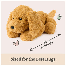 Forever Friends tag on Muttsy enables easy registration and tracking