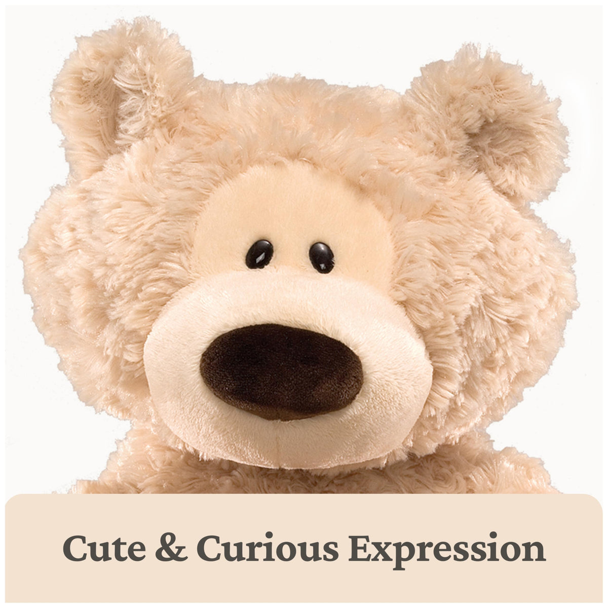 GUND Philbin classic teddy bear paws detail for bigger hugs