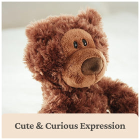 Close up of Philbin teddy muzzle and curious expression