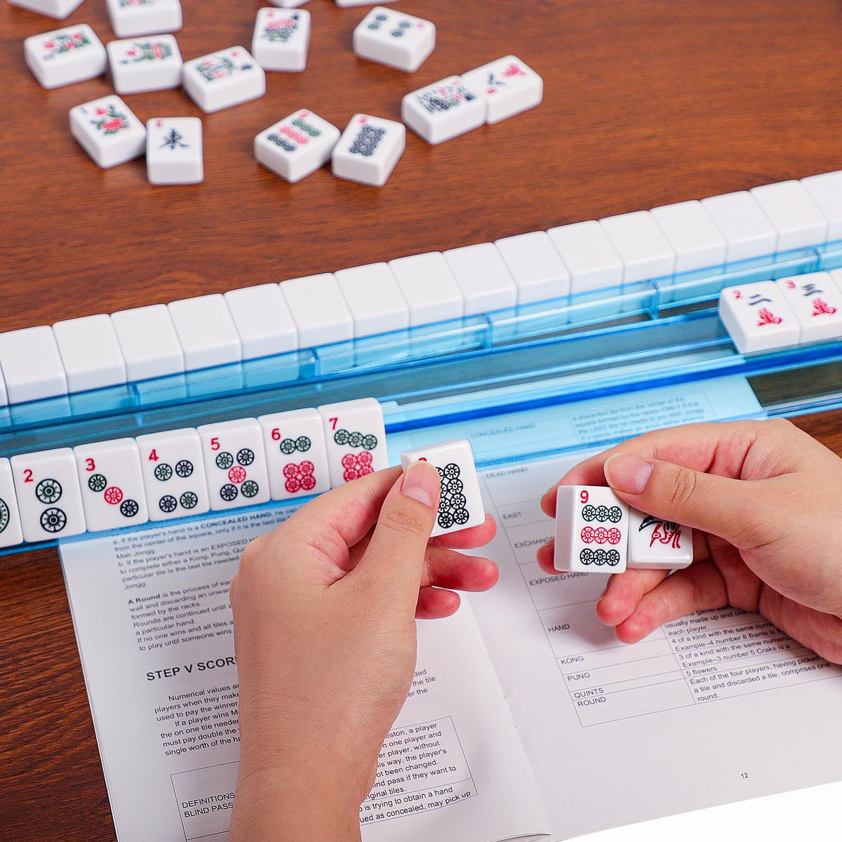 GUSTARIA instruction manual provides clear setup guidance for new players.