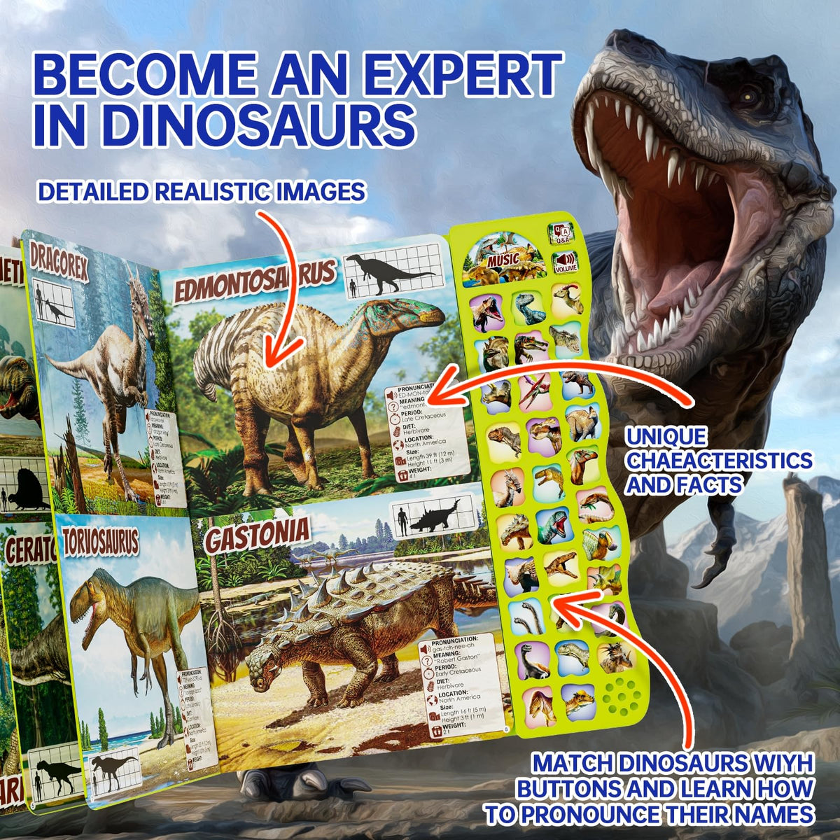 Gzsbaby dinosaur book interior pages ready for hands on exploration