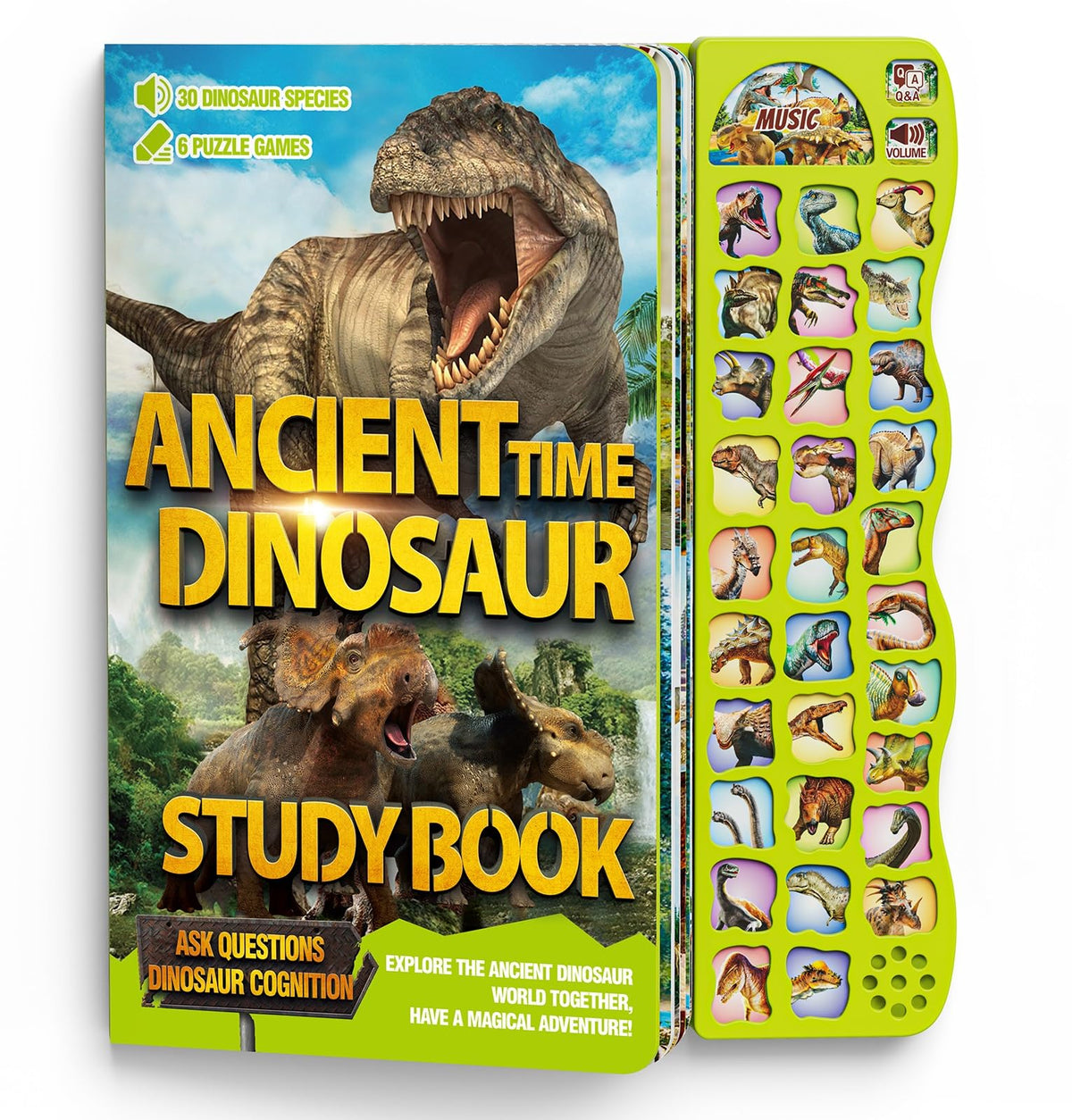 Gzsbaby dinosaur book front cover showing vivid dinosaurs for engaging learning