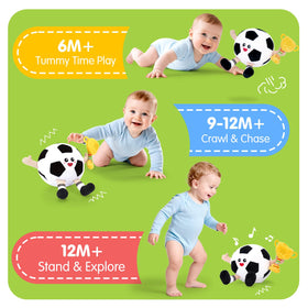 hahaland interactive tummy time toy encourages crawling and bounce during floor play.