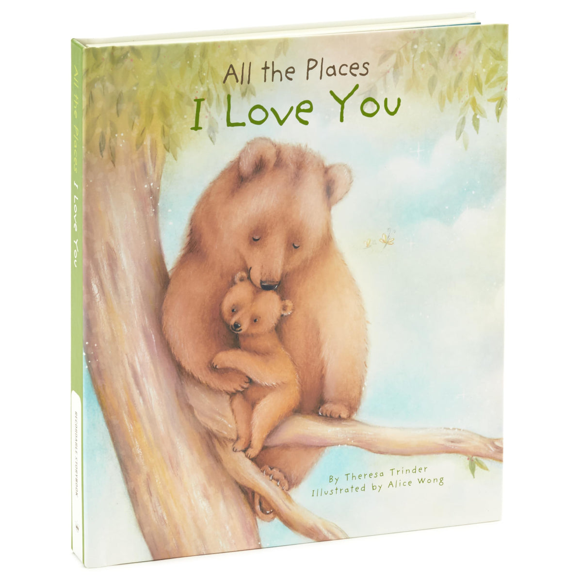Hallmark recordable book cover with music enhances bedtime storytelling