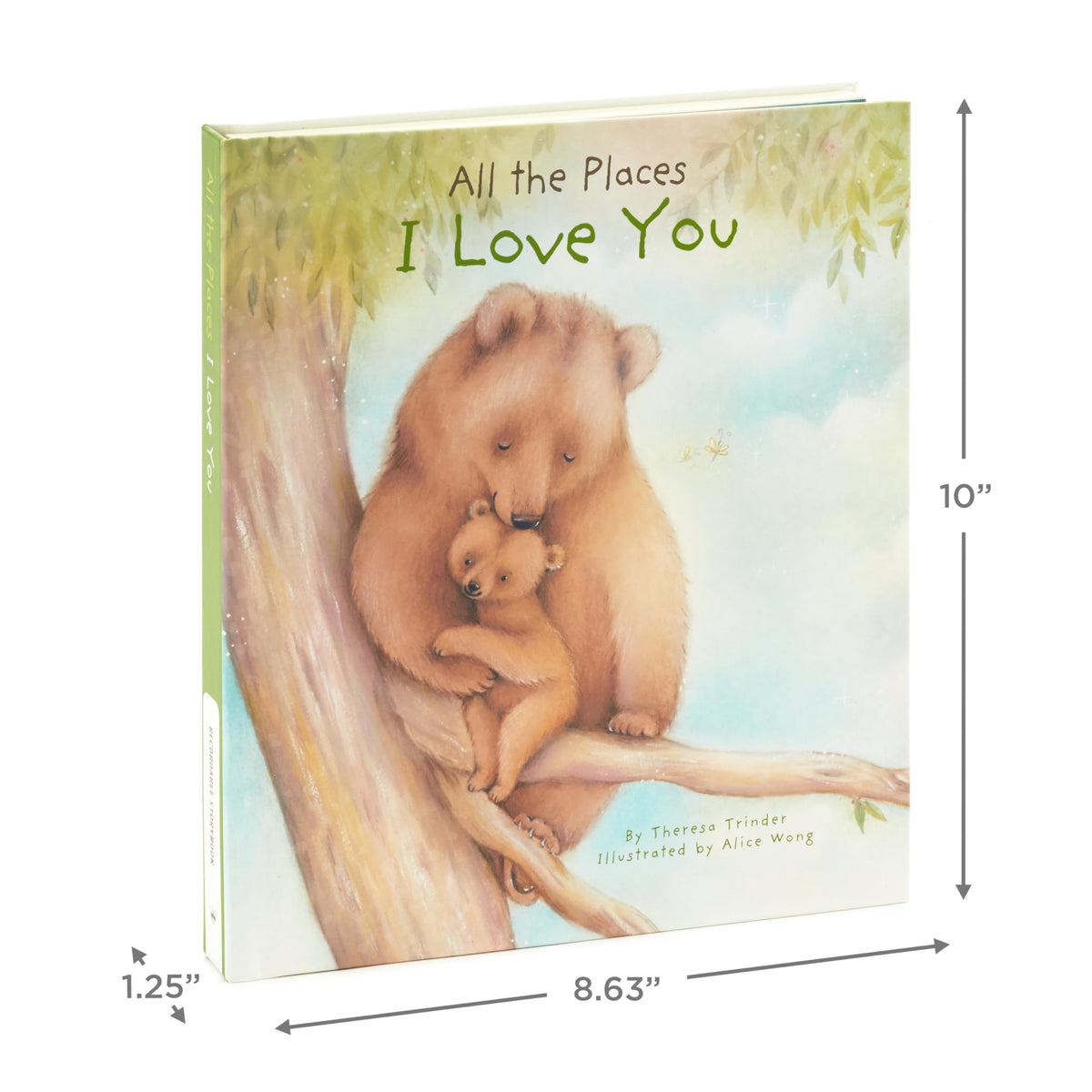 Hallmark recordable book illustrations closeup show warm bear artwork