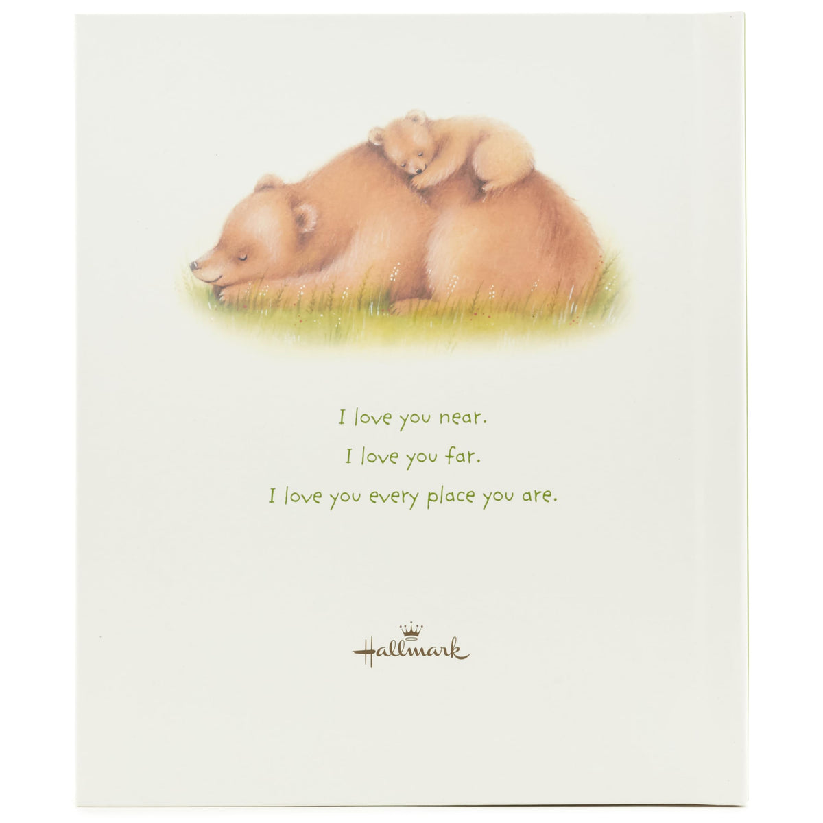 Hallmark recordable book two bears together evoke loving distance moments