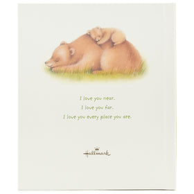 Hallmark recordable book two bears together evoke loving distance moments